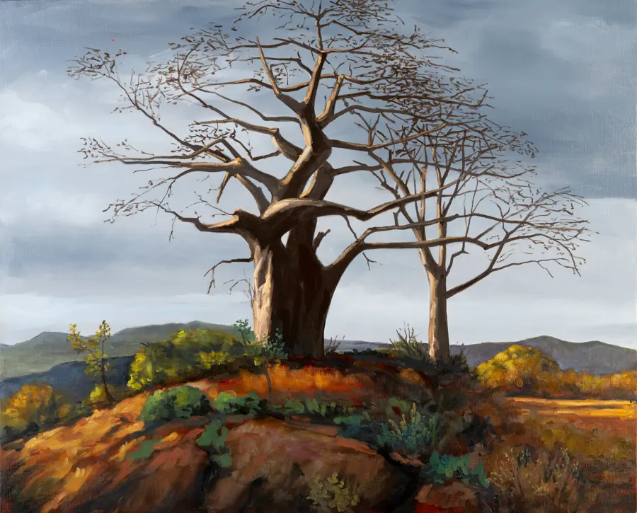 01 deux baobabs